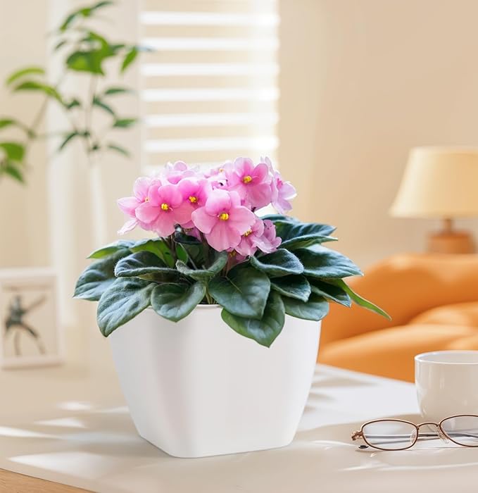 African Violet Pots, 6 Inch Self Watering Pot for Indoor Plants,Ceramic Self Watering Pots,Easy Plant Self Watering Planter for Busy Plant Lovers, Flower Pot with Absorbent Inner Pot - White
