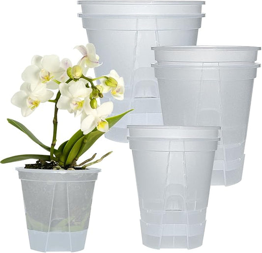 Cdd's Path 6-Pack Self Watering Pots Set with Holes for Indoor/Outdoor Plants,2 Each of 5, 6 and 7 Inch Planter Pot with Watering Hole/Reservior and Air Pipes,Clear