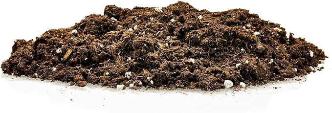 Citrus Tree Potting Soil Mix, Special Blend for Indoor Oranges, Lemons, Limes and More - (3 Quart Bag)