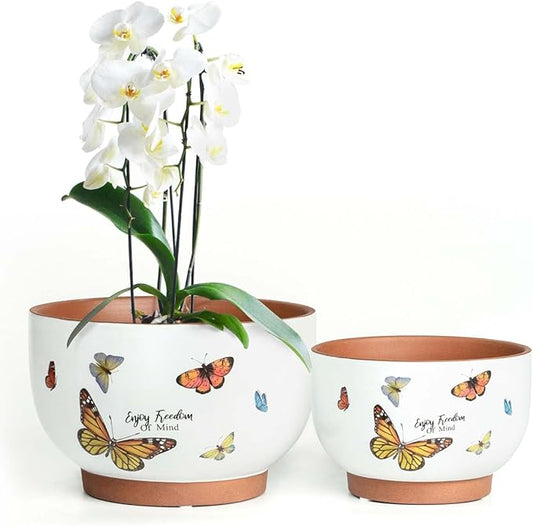 YBX 8 Inch & 6 Inch Terracotta Pots, Plant Pots Indoor, Flower Pots for Indoor Plants with Drainage, Planters with Butterfly Accent for Indoor Plants (Tropical)