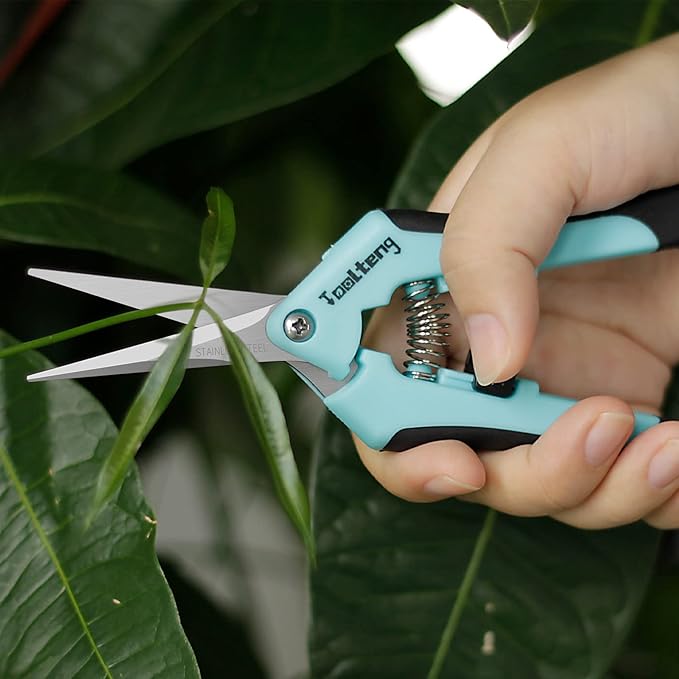 1 Pack Pruning Shears, Garden Trimming Scissors, Gardening Hand Pruning Snips, Titanium Coated Precision Bonsai Pruning Shears, Convenient and Efficient Flower Cutters (Blue)