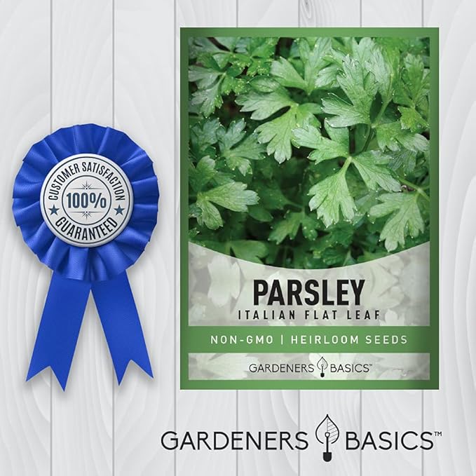 Gardeners Basics, Parsley Seeds for Planting, Italian Flat Leaf is A Heirloom, Open-Pollinated, Non-GMO Herb Variety- Great for Indoor and Outdoor Gardening and Herbal Tea Gardens