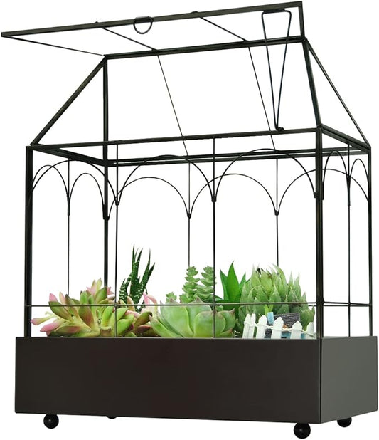 Large Tall Glass Plant Terrarium – House Succulent Terrarium Kit with Lip and Tray, 9.5”X5.7”X11.4”