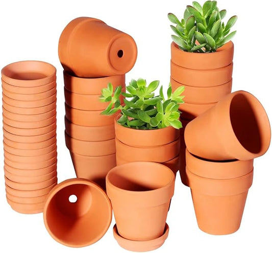 3 Inch Terracotta Pots with Saucer-20 Pack,Cactus Terra Cotta Flower Pots with Drainage,Succulent Nursery Clay Pots Great for Plants,DIY Crafts, Wedding Favor