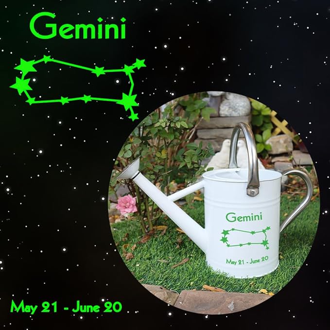 Metal Watering Can for Outdoor and Indoor Plants, Watering Can Decor, 1 Gallon (Gemini)