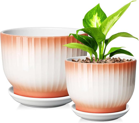 6.7 + 5.5 Inch Plant Pot, Ceramic Planter with Drainage and Saucer, Ceramic Pots for Plants, Indoor Plant pots,Ceramic Flower pots(Orange + White, Plants NOT Included)