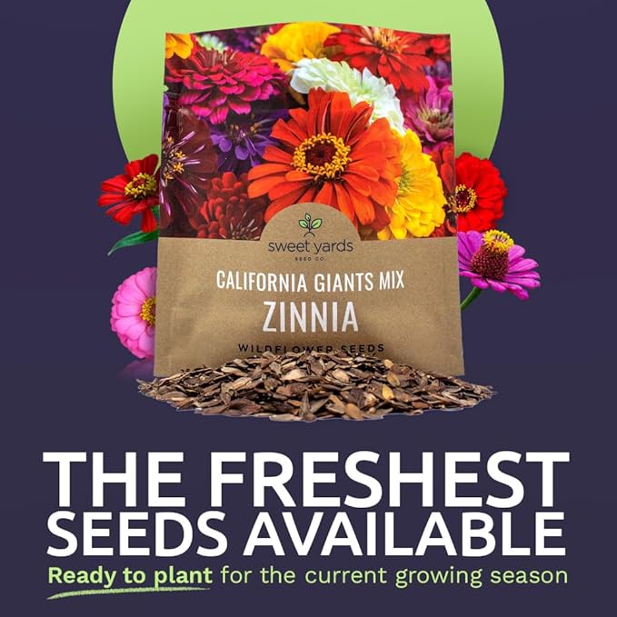 Zinnia Seeds - California Giants Mix - Large 1 Ounce Packet - 3,000 Flower Seeds - Mixed Colors and Large Blooms
