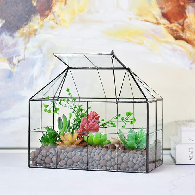 Large Glass Terrarium House Planter – Succulent Plant Glass Greenhouse with lid 9.8"X7.9"X5.9" NA