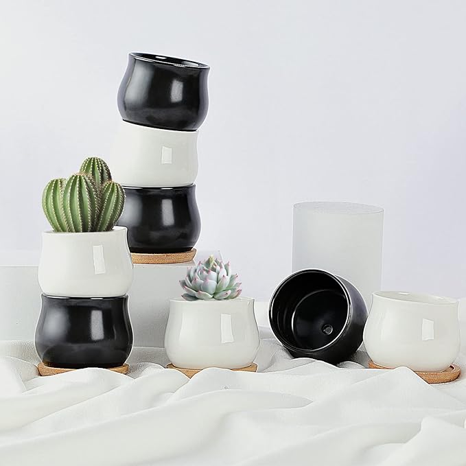 12 Pack Succulent Plant Pot, Mini 2.6 inch Ceramic Flower Planter Pot with Bamboo Tray, Small Pots for Plants, Plants Not Included (White, Black)