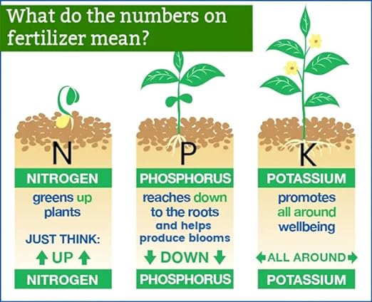 All Purpose Garden Fertilizer (6-6-6) - Enhance The Health and Resilience of Your Plants - 4 QUARTS