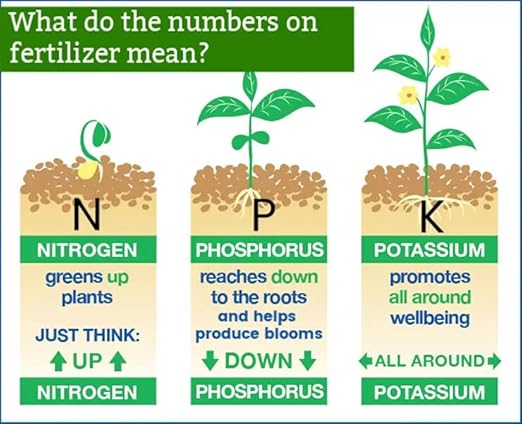 20-20-20 All-Purpose Fertilizer - A Premium Foliar Feed for Thriving Plants - 3 Quart