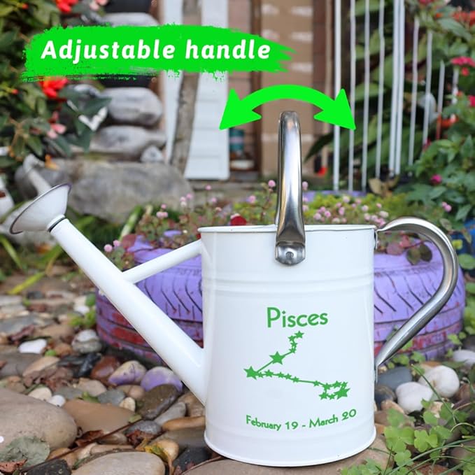 Metal Watering Can for Outdoor and Indoor Plants, Watering Can Decor, 1 Gallon (Pisces)