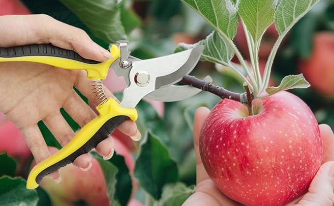 4PCS Garden Pruning Shears-7.5 Inch Stainless Steel Pruning Snips,Garden Scissors Handheld for Gardening Cutting Flower Tree Trimming Tools (4)