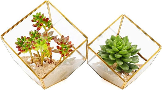 Glass Geometric Plant Terrarium,Succulent & Air Planter for Home Garden Office Decoration(Gold Cubic Set of 2)