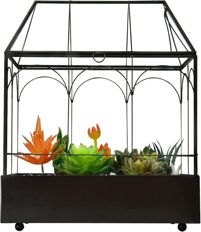 Large Tall Glass Plant Terrarium – House Succulent Terrarium Kit with Lip and Tray, 9.5”X5.7”X11.4”