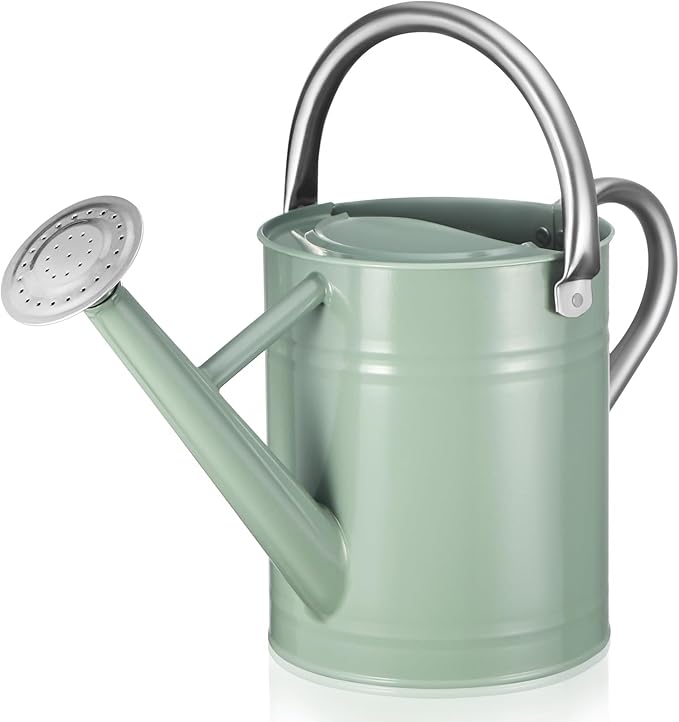 Watering Can for Outdoor Plants and Indoor Plants,1 Gallon Metal Watering Can for Garden Flower,Galvanized Steel Metal Water Can Watering Pot with Sprinkler Head