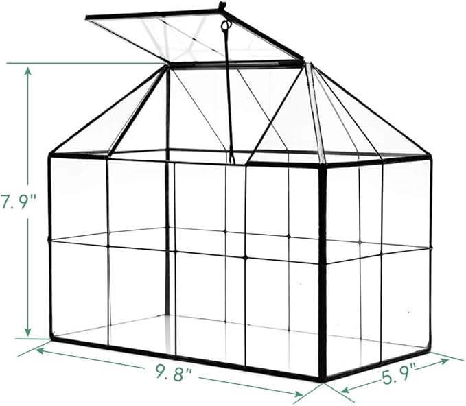 Large Glass Terrarium House Planter – Succulent Plant Glass Greenhouse with lid 9.8"X7.9"X5.9" NA