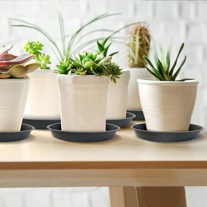 6 Pack Plant Saucer 4 6 8 10 12 14 16 18 20 22 Inch Plastic Plant Tray, Sturdy and Durable Flower Pot Container Accessories Plant Pot Saucers for Indoor and Outdoor (12 Inch, Gray)