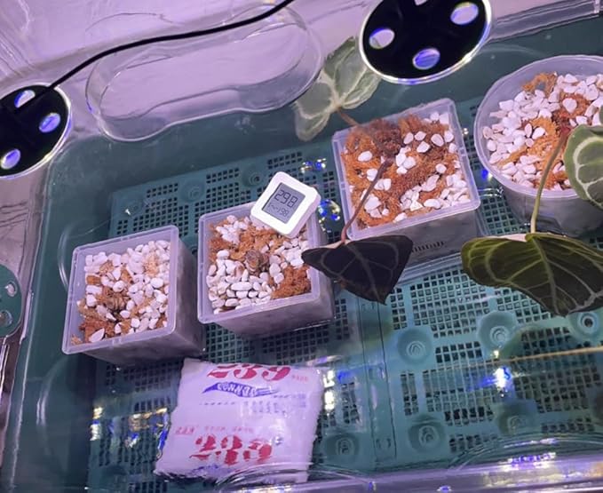 15QT Organic Perlite Horticultural Soil Amendment for Plants and Enhanced Drainage Enhanced