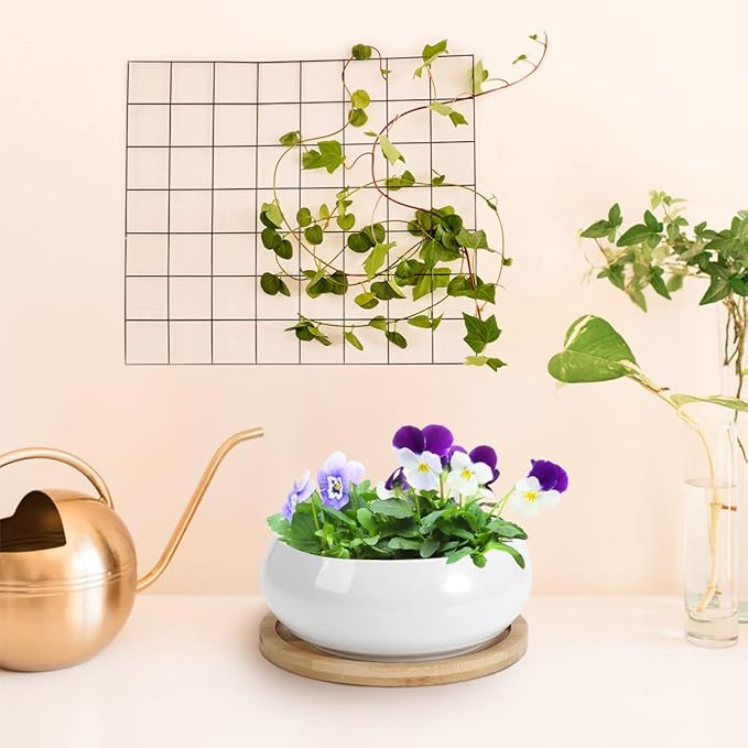 ZOUTOG 2 Pack Succulent Pots, 6 inch Ceramic Planters for Indoor Plants with Bamboo Tray, Pots with Drainage, Seeds& Plants Not Included