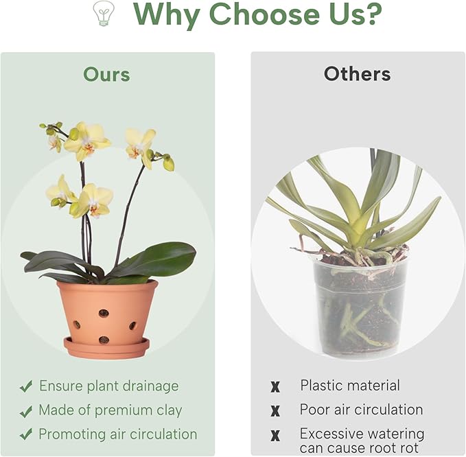 8 inch Terracotta Orchid Pots with Holes and Saucers, 2 Pack Clay Orchid Planter Pots for Repotting, Large Terra Cotta Orchid Pot, Plant Flower Pots for Orchid Indoor Outdoor Promotes Air Circulation