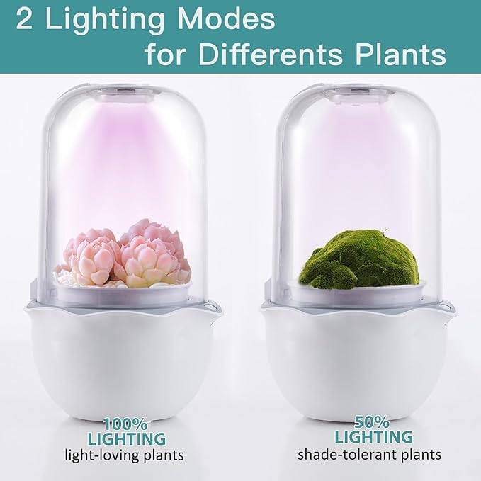 Venus Fly Trap Pot,Smart Planter with Timer and Fan,Small Terrarium Kit with Light and Drainage Hole for Carnivorous Plant,Succulent,Sundew Moss,Cactus,Pitcher(No Plant)