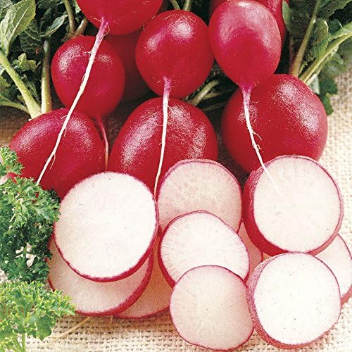 Park Seed Radish Vegatable Plant Seeds, Easy to Grow, Variety of Colors, Spring Garden, Cherriette Hybrid, Pack of 400.