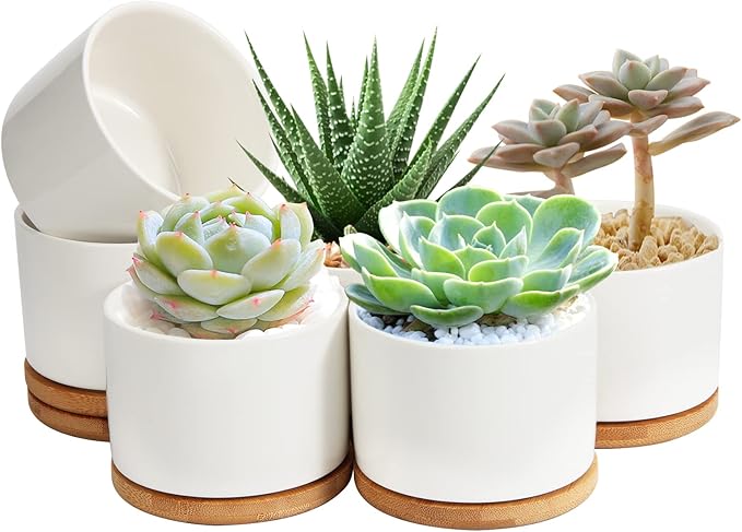 ZOUTOG Plant Pot 4 Inch, Ceramic Succulent Pots with Drainage Hole & Bamboo Tray, Pack of 6 White Small Flower Pots for Home, Office, Indoor or Outdoor Decor - Plants Not Included