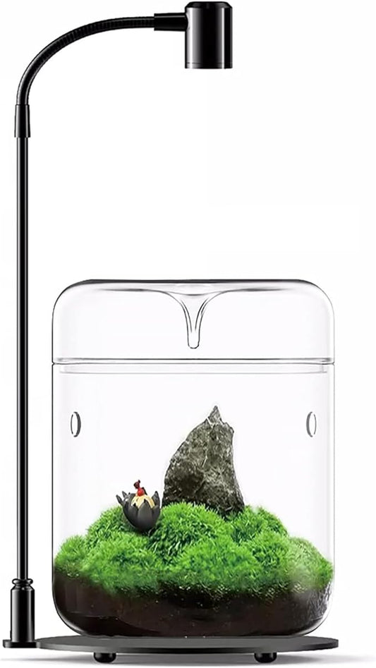 Glass Plant Terrarium 4.7"X7" Inches Succulent Air Planter Fern Moss Micro-Landscape Vase for Home Office Tabletop Decoration Container with Lid Indoor Wardian Copyright Patent(with Light)