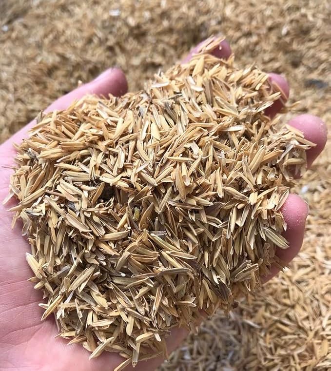 Natural Rice Hulls - Eco-Friendly Mulch and Soil Amendment for House Plants and Chicken Bedding - 1 Quart