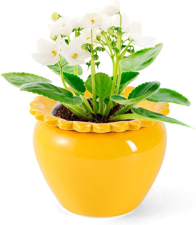 African Violet Flower Pot Self Watering Plant African Violet Planter Pot Yellow Ceramic Pot Maintenance Plant Seeder Planting 6.5 * 4.6 Inch High Absorption Plant Inner Flower Pot