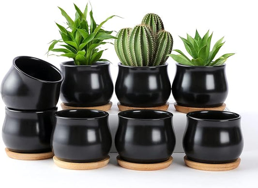 8 Pack Succulent Plant Pot, Matte Black Mini 2.6 inch Ceramic Flower Planter Pot with Bamboo Tray, Small Pots for Plants, Plants Not Included