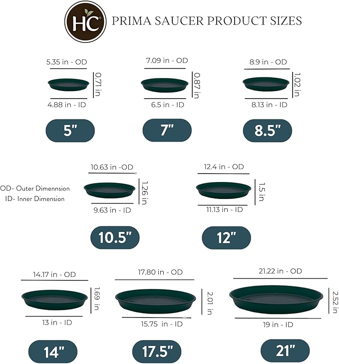The HC Companies 14 Inch Round Prima Plastic Plant Saucer - Indoor Outdoor Plant Trays for Pots - 14.17 Inchx14.17 Inchx1.69 Inch in Evergreen