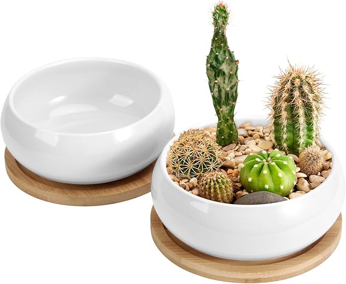 ZOUTOG 2 Pack Succulent Pots, 6 inch Ceramic Planters for Indoor Plants with Bamboo Tray, Pots with Drainage, Seeds& Plants Not Included