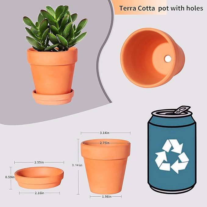 3 Inch Terracotta Pots with Saucer-20 Pack,Cactus Terra Cotta Flower Pots with Drainage,Succulent Nursery Clay Pots Great for Plants,DIY Crafts, Wedding Favor