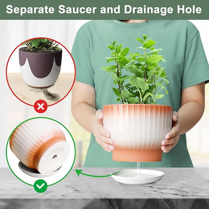 6.7 + 5.5 Inch Plant Pot, Ceramic Planter with Drainage and Saucer, Ceramic Pots for Plants, Indoor Plant pots,Ceramic Flower pots(Orange + White, Plants NOT Included)