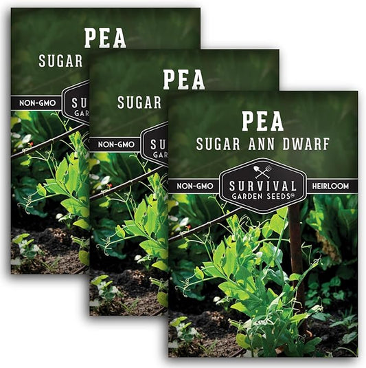 Sugar Ann Dwarf Pea Seed for Planting - 3 Packets with Instructions to Plant and Grow Sweet Snap Peas in Your Home Vegetable Garden - Non-GMO Heirloom Variety - Survival Garden Seeds