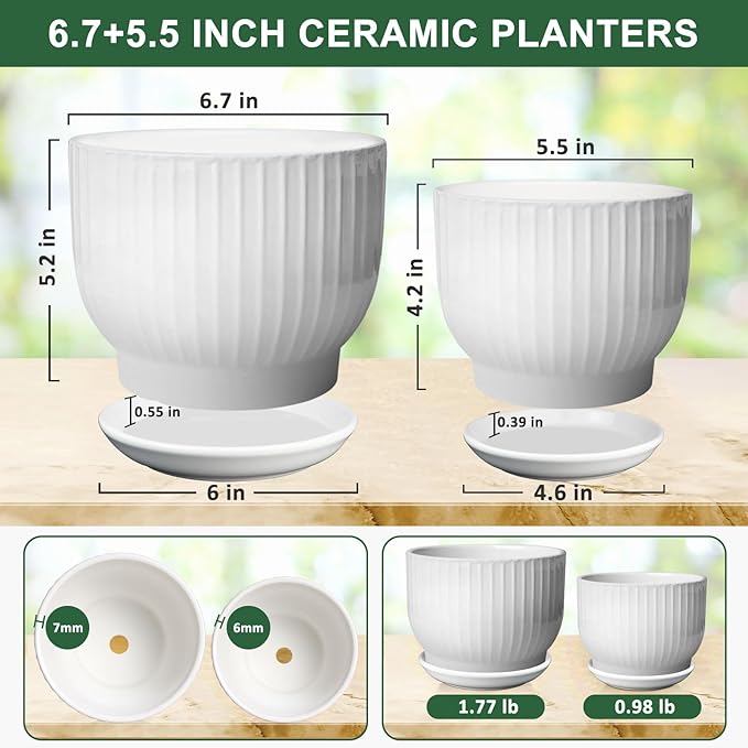 6.7 + 5.5 Inch Plant Pot, Ceramic Planter with Drainage and Saucer, Ceramic Pots for Plants, Indoor Plant pots,Ceramic Flower pots(Pure White, Plants NOT Included)