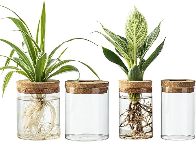 Glass Propagation Stations for Plants -Desktop Flower Vases,Propagation Flower Vases Set – 2 Sizes Planter Propagated Jars,for Plant Cuttings,for Living Room, Bedroom Decoration,Home,Office Decor(4)