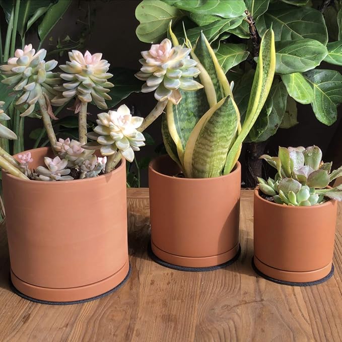D'vine Dev Terracotta Pots for Plants, 4.2 Inch 5.3 Inch 6.5 Inch, Succulent Planter Pot with Drainage and Saucer, 40-T-A-0