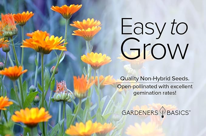 Gardeners Basics, Calendula Seeds for Planting (Pacific Beauty Mix) - Annual Flower Seeds Great for Cut Flower Gardens, Herbal Tea and for Medicinal Purposes, Open Pollinated Flower Seed
