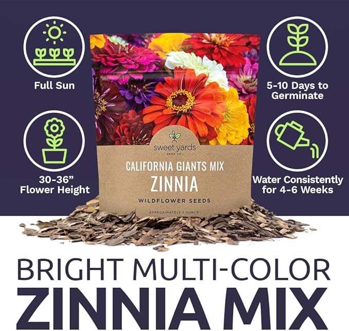 Zinnia Seeds - California Giants Mix - Large 1 Ounce Packet - 3,000 Flower Seeds - Mixed Colors and Large Blooms