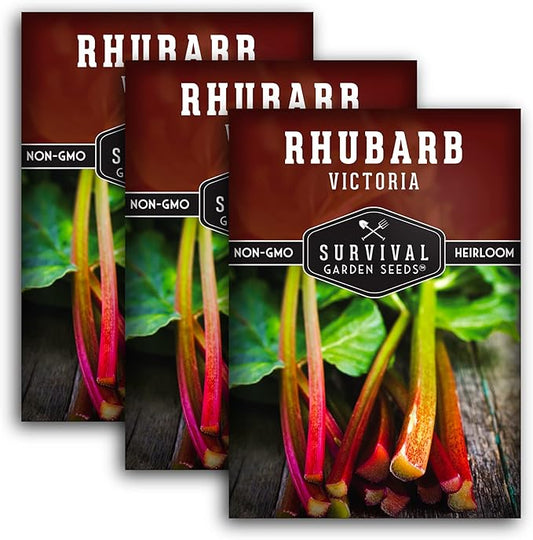 Survival Garden Seeds - Victoria Rhubarb Seed for Planting - 3 Packets with Instructions to Plant and Grow Cold-Tolerant Perennial Spring Vegetables in Your Home Garden - Non-GMO Heirloom Variety