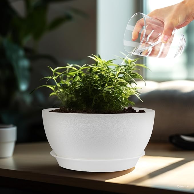 8 inch Plant Pots Pack of 2, Plastic Planter with Drainage Holes and Saucers, Plant pots for Indoor Outdoor Use, Flower Pots for All House Plants (White)