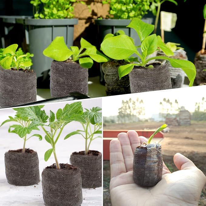 ZeeDix 300 Pcs (30mm) Peat Pellet Fiber Soil Plant Seed Starters - Seed Starter Pellets Pods Compressed Peat Pellets for Grow Herbs, Plant,Flowers and Vegetables