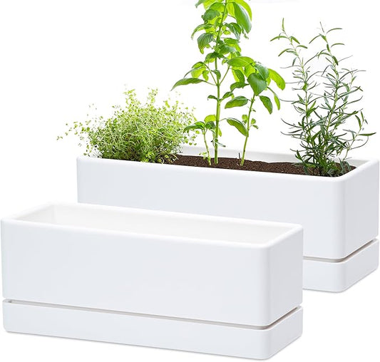 D'vine Dev 12 Inch Window Box Planter, Rectangle Plastic Herb Planter with Drainage Holes and Saucer, Indoor Succulent Cactus Vegetable Pot for Windowsill, Garden Balcony, White, Set of 2, 76-X-A-2
