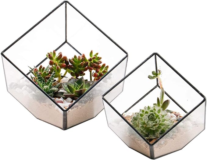 ELEGANTLIFE Glass Geometric Plant Terrarium Container, Flower Pot Tabletop Planter Decor Glass Display Box Succulent & Air Planter for Home Garden Office Decoration(Black Cubic Set of 2)