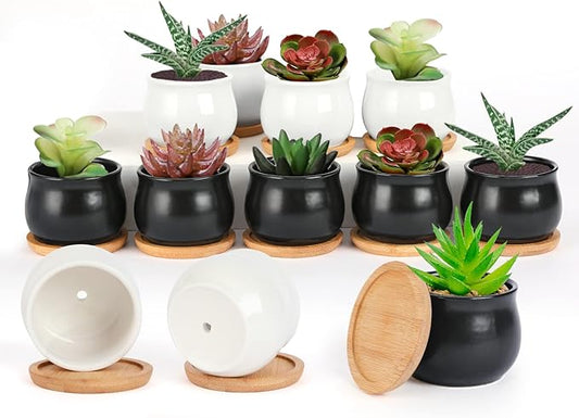 12 Pack Succulent Plant Pot, Mini 2.6 inch Ceramic Flower Planter Pot with Bamboo Tray, Small Pots for Plants, Plants Not Included (White, Black)