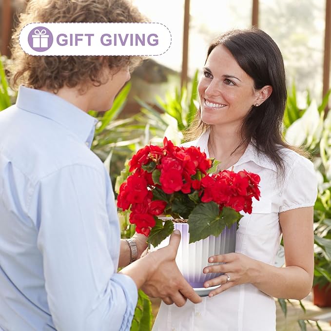 6.7 + 5.5 Inch Plant Pot, Ceramic Planter with Drainage and Saucer, Ceramic Pots for Plants, Indoor Plant pots,Ceramic Flower pots(Purple + White, Plants NOT Included)