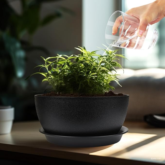 8 inch Plant Pots Pack of 2, Plastic Planter with Drainage Holes and Saucers, Plant pots for Indoor Outdoor Use, Flower Pots for All House Plants (Black)